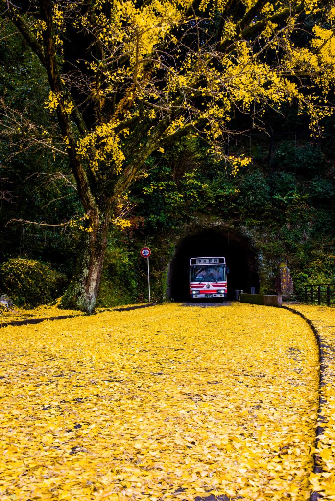 大分の魅力を掘り続けろ トンネル日本一 Yabakei Trip 九州 耶馬渓 絶景の旅