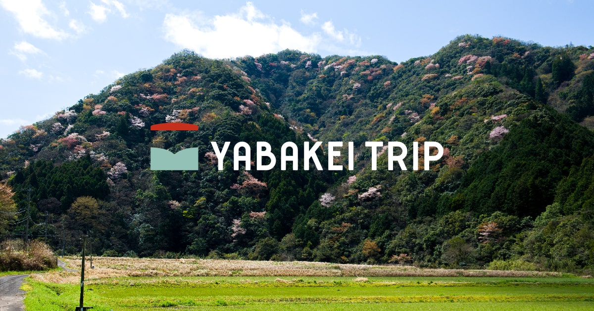 さまや桜様 さくら・お花見 - YABAKEI TRIP 九州・耶馬渓 絶景の旅