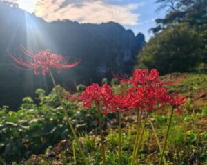 秋へと移り変わります(^o^)
